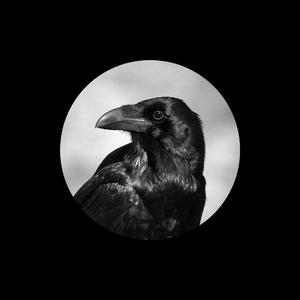 chⅰnese老女人老熟妇HD
