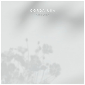 chⅰnese老女人老熟妇HD
